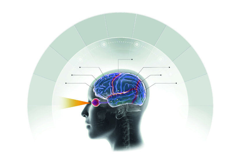 vision-brain_diagram-1.jpg